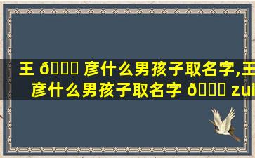 王 🐘 彦什么男孩子取名字,王彦什么男孩子取名字 🐕 zui
好